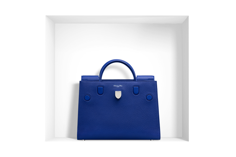 Diorever: A Bag Forever - Bag Snob